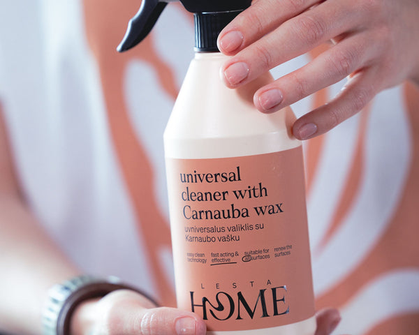 Person holding a bottle of 'Lisboa Home' universal cleaner with Carnauba wax against a blurred background.
